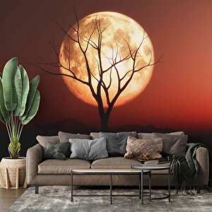 Günbatımı Ağaç Ve Ay Manzaralı Duvar Kağıdı - Dkm722066 150x280 cm