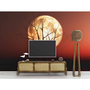 Günbatımı Ağaç Ve Ay Manzaralı Duvar Kağıdı - Dkm722066 150x280 cm