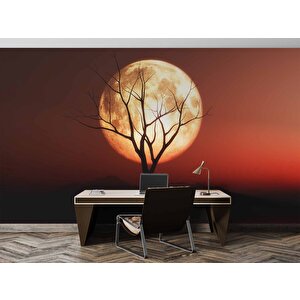 Günbatımı Ağaç Ve Ay Manzaralı Duvar Kağıdı - Dkm722066