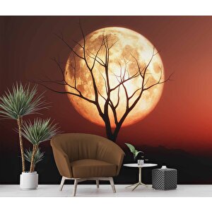 Günbatımı Ağaç Ve Ay Manzaralı Duvar Kağıdı - Dkm722066