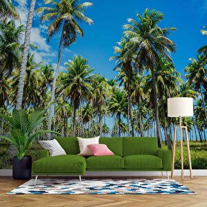Palmiye Duvar Kağıdı Baskı - Dkm248014 450x200 cm