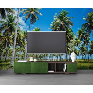 Palmiye Duvar Kağıdı Baskı - Dkm248014 450x200 cm