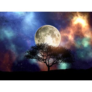 Ağaç Süliyeti Ay Ve Gökyüzü Manzaralı Duvar Kağıdı Baskı - Dkm503071