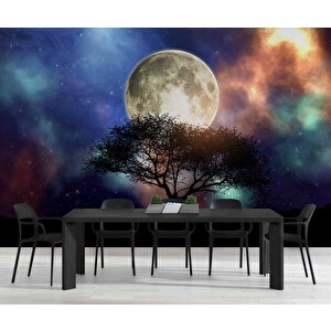 Ağaç Süliyeti Ay Ve Gökyüzü Manzaralı Duvar Kağıdı Baskı - Dkm503106