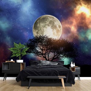 Ağaç Süliyeti Ay Ve Gökyüzü Manzaralı Duvar Kağıdı Baskı - Dkm503083 700x280 cm