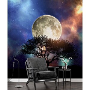 Ağaç Süliyeti Ay Ve Gökyüzü Manzaralı Duvar Kağıdı Baskı - Dkm503083