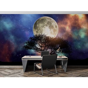 Ağaç Süliyeti Ay Ve Gökyüzü Manzaralı Duvar Kağıdı Baskı - Dkm503047 225x260 cm