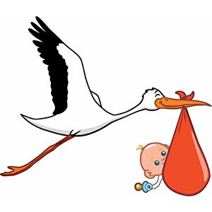 Bebek Getiren Leylek Çocuk Odası Duvar Kağıdı Baskı - Dkm424026