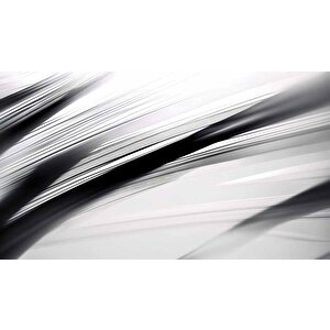 Siyah Beyaz Şerit Desenli Duvar Kağıdı - Dkm983016