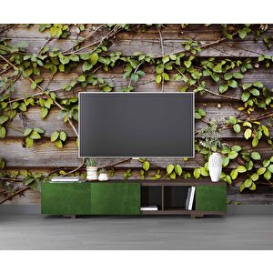 Sarmaşık Ahşap Duvar Kağıdı Baskı - Dkm521091 275x300 cm
