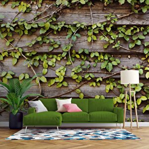 Sarmaşık Ahşap Duvar Kağıdı Baskı - Dkm521114 325x315 cm