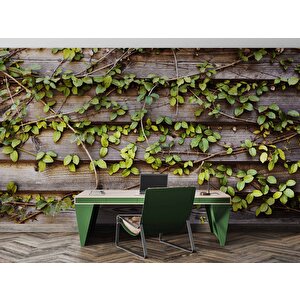 Sarmaşık Ahşap Duvar Kağıdı Baskı - Dkm521095