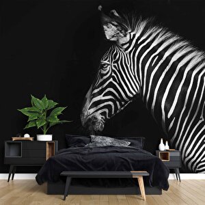 Zebra Temalı Duvar Kağıdı Baskı - Dkm527014 450x200 cm