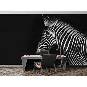 Zebra Temalı Duvar Kağıdı Baskı - Dkm527014 450x200 cm