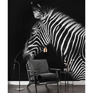 Zebra Temalı Duvar Kağıdı Baskı - Dkm527115