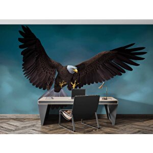 Kanatları Açık Kartal Temalı Duvar Kağıdı Baskı - Dkm512059 525x260 cm