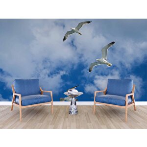 Gökyüzü Martı Temalı Duvar Kağıdı - Dkm636039