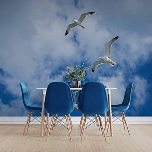 Gökyüzü Martı Temalı Duvar Kağıdı - Dkm636100