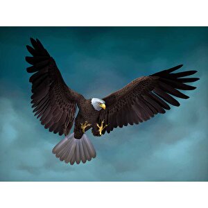 Kanatları Açık Kartal Temalı Duvar Kağıdı Baskı - Dkm512097