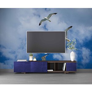 Gökyüzü Martı Temalı Duvar Kağıdı - Dkm636091 275x300 cm