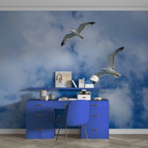 Gökyüzü Martı Temalı Duvar Kağıdı - Dkm636091