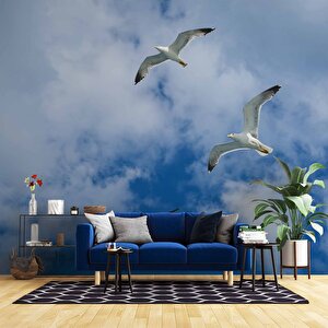 Gökyüzü Martı Temalı Duvar Kağıdı - Dkm636001