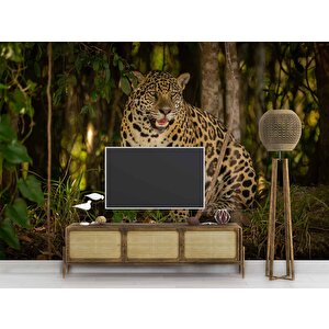 İstanbul Eminönü Manzaralı Duvar Kağıdı - Dkm766050 300x260 cm