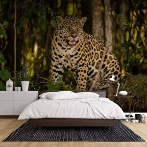 İstanbul Eminönü Manzaralı Duvar Kağıdı - Dkm766091 275x300 cm