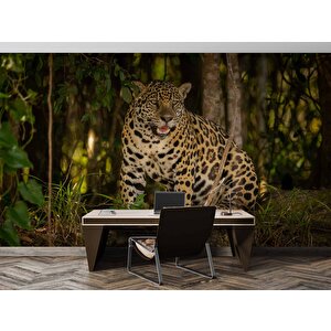 İstanbul Eminönü Manzaralı Duvar Kağıdı - Dkm766091