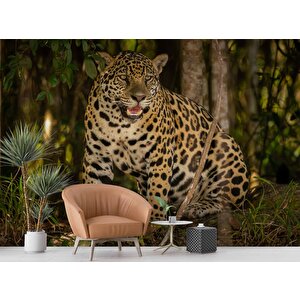 İstanbul Eminönü Manzaralı Duvar Kağıdı - Dkm766091