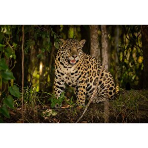 İstanbul Eminönü Manzaralı Duvar Kağıdı - Dkm766091