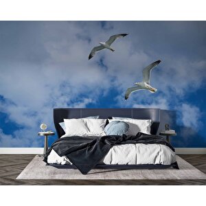 Gökyüzü Martı Temalı Duvar Kağıdı - Dkm636089 225x300 cm