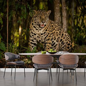 İstanbul Eminönü Manzaralı Duvar Kağıdı - Dkm766002