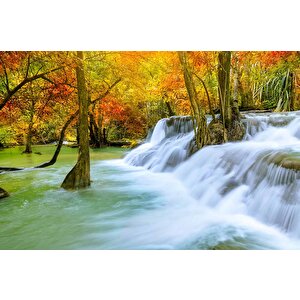 Orman Ve Şelale Manzaralı Duvar Kağıdı - Dkm576102