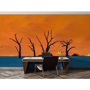 Gölge Ve Ağaç Manzaralı Duvar Kağıdı - Dkm692078