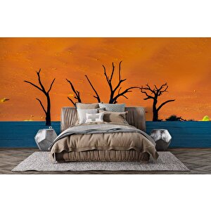 Gölge Ve Ağaç Manzaralı Duvar Kağıdı - Dkm692057 475x260 cm