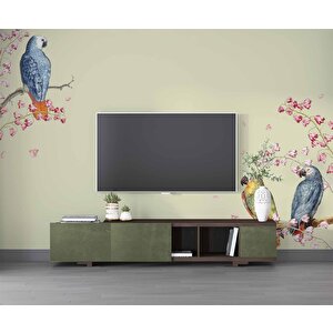 Papağan Ve Ağaç Dalı Temalı Duvar Kağıdı - Dkm470014 450x200 cm