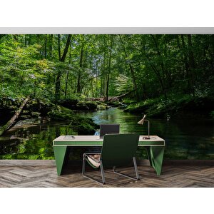 Nehir Manzaralı Duvar Kağıdı Baskı - Dkm227043