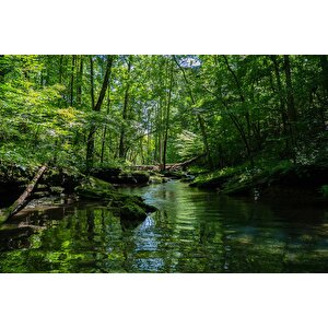 Nehir Manzaralı Duvar Kağıdı Baskı - Dkm227043