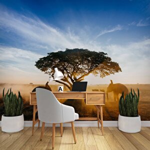 Gündoğumu Ağaç Ve Fil Temalı Duvar Kağıdı Baskı - Dkm520052 350x260 cm