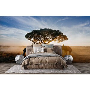 Gündoğumu Ağaç Ve Fil Temalı Duvar Kağıdı Baskı - Dkm520058 500x260 cm