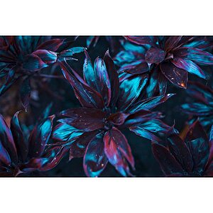 Koyu Mavi Yaprak Duvar Kağıdı Baskı - Dkm507062