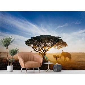 Gündoğumu Ağaç Ve Fil Temalı Duvar Kağıdı Baskı - Dkm520078