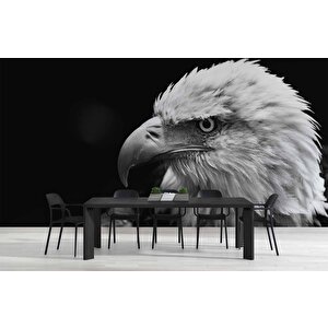 Siyah Beyaz Kartal Temalı Duvar Kağıdı Baskı - Dkm516115