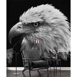 Siyah Beyaz Kartal Temalı Duvar Kağıdı Baskı - Dkm516115