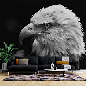 Siyah Beyaz Kartal Temalı Duvar Kağıdı Baskı - Dkm516104 700x300 cm