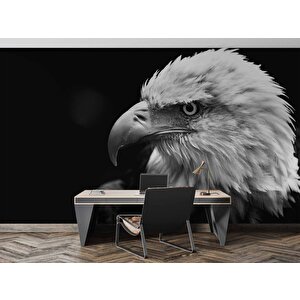Siyah Beyaz Kartal Temalı Duvar Kağıdı Baskı - Dkm516119