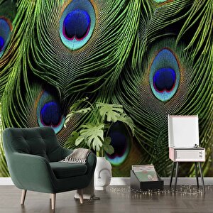 Tavus Kuşu Tüyü Desenli Duvar Kağıdı Baskı - Dkm534061