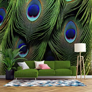 Tavus Kuşu Tüyü Desenli Duvar Kağıdı Baskı - Dkm534071 300x280 cm