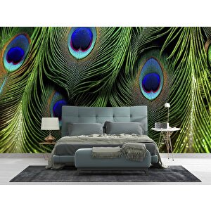 Tavus Kuşu Tüyü Desenli Duvar Kağıdı Baskı - Dkm534071 300x280 cm